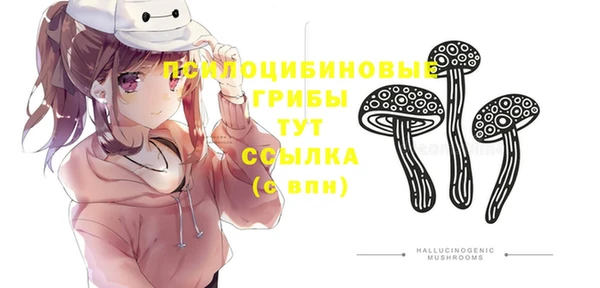 прущий лед Верея