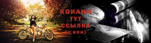ПСИЛОЦИБИНОВЫЕ ГРИБЫ Волосово